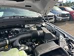 New 2025 Ford F-150 Platinum SuperCrew Cab 4x4 Pickup for sale #B20598 - photo 20