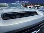2025 Chevrolet Silverado 2500 Crew Cab 4x4 Pickup for sale #B221897B - photo 17