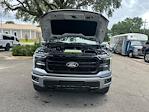 2025 Ford F-150 SuperCrew Cab 4x4 Pickup for sale #B23150 - photo 15