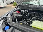 2025 Ford F-150 SuperCrew Cab 4x4 Pickup for sale #B23150 - photo 17