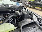 2025 Ford F-150 SuperCrew Cab 4x4 Pickup for sale #B23150 - photo 18