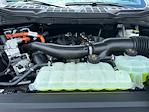 2025 Ford F-150 SuperCrew Cab 4x4 Pickup for sale #B31233 - photo 18
