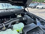 2025 Ford F-150 SuperCrew Cab 4x4 Pickup for sale #B31233 - photo 20