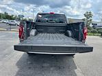 2025 Ford F-150 SuperCrew Cab 4x4 Pickup for sale #B31233 - photo 34
