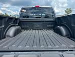 2025 Ford F-150 SuperCrew Cab 4x4 Pickup for sale #B31233 - photo 35