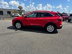2024 Ford Escape FWD SUV for sale #B31463 - photo 6