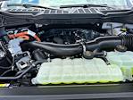 2025 Ford F-150 SuperCrew Cab 4x4 Pickup for sale #B34245 - photo 18