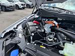 2025 Ford F-150 SuperCrew Cab 4x4 Pickup for sale #B34245 - photo 19