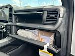 2025 Ford F-150 SuperCrew Cab 4x4 Pickup for sale #B34245 - photo 33