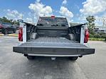 2025 Ford F-150 SuperCrew Cab 4x4 Pickup for sale #B34245 - photo 34