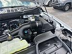 New 2025 Ford F-150 XLT SuperCrew Cab 4x4 Pickup for sale #B35765 - photo 17