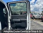 New 2025 Ford F-150 XLT SuperCrew Cab 4WD Pickup for sale #B35765 - photo 31