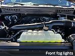 New 2025 Ford F-150 Platinum SuperCrew Cab 4WD Pickup for sale #B37480 - photo 25