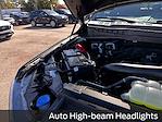 New 2025 Ford F-150 Platinum SuperCrew Cab 4WD Pickup for sale #B37480 - photo 26