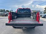 New 2025 Ford F-150 Platinum SuperCrew Cab 4x4 Pickup for sale #B37543 - photo 36