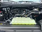 2025 Ford F-150 SuperCrew Cab 4x4 Pickup for sale #B38167 - photo 18