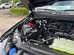 2025 Ford F-150 SuperCrew Cab 4x4 Pickup for sale #B38167 - photo 19