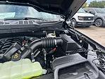 2025 Ford F-150 SuperCrew Cab 4x4 Pickup for sale #B38167 - photo 20
