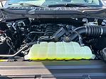 2025 Ford F-150 SuperCrew Cab 4x4 Pickup for sale #B39779 - photo 16