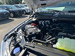 2025 Ford F-150 SuperCrew Cab 4x4 Pickup for sale #B39779 - photo 17