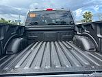 New 2025 Ford F-150 XLT SuperCrew Cab 4x4 Pickup for sale #B40240 - photo 34