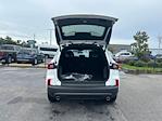 New 2025 Ford Escape ST-Line SUV for sale #B41167 - photo 31