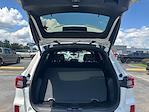 New 2025 Ford Escape ST-Line SUV for sale #B50582 - photo 33