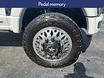 2024 Ford F-450 Crew Cab DRW 4x4 Pickup for sale #D92567A - photo 14