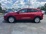 New 2025 Ford Escape Active SUV for sale #B57701 - photo 4