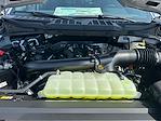2025 Ford F-150 SuperCrew Cab 4x4 Pickup for sale #B59730 - photo 16