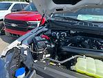 2025 Ford F-150 SuperCrew Cab 4x4 Pickup for sale #B59730 - photo 17