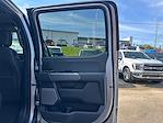 2025 Ford F-150 SuperCrew Cab 4x4 Pickup for sale #B59730 - photo 25