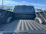 2025 Ford F-150 SuperCrew Cab 4x4 Pickup for sale #B59730 - photo 33