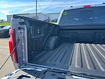 2025 Ford F-150 SuperCrew Cab 4x4 Pickup for sale #B59730 - photo 34