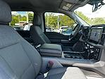 New 2025 Ford F-150 XLT SuperCrew Cab 4WD Pickup for sale #B60695 - photo 39