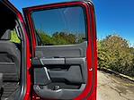 New 2025 Ford F-150 XLT SuperCrew Cab 4WD Pickup for sale #B63357 - photo 36