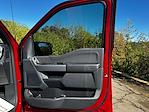 New 2025 Ford F-150 XLT SuperCrew Cab 4WD Pickup for sale #B63357 - photo 39
