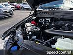 New 2025 Ford F-150 Platinum SuperCrew Cab 4WD Pickup for sale #B82142 - photo 26