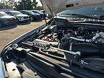 2022 Ford F-450 Crew Cab DRW 4WD Pickup for sale #C26934B - photo 19