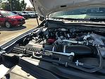 New 2026 Ford F-250 XL Crew Cab 4WD Pickup for sale #C33085 - photo 25