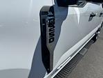 2025 Ford F-250 Crew Cab 4x4 Pickup for sale #C34122 - photo 12