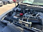 2025 Ford F-250 Crew Cab 4x4 Pickup for sale #C34122 - photo 20