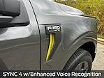 New 2025 Ford F-150 STX SuperCrew Cab 4WD Pickup for sale #C36113 - photo 15