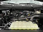 New 2025 Ford F-150 STX SuperCrew Cab 4WD Pickup for sale #C36113 - photo 23