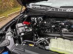 New 2025 Ford F-150 STX SuperCrew Cab 4WD Pickup for sale #C36113 - photo 24