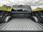 New 2025 Ford F-150 STX SuperCrew Cab 4WD Pickup for sale #C36113 - photo 41