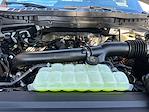 2025 Ford F-150 SuperCrew Cab 4WD Pickup for sale #C45326 - photo 24
