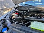 2025 Ford F-150 SuperCrew Cab 4WD Pickup for sale #C45326 - photo 26