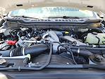 2025 Ford F-250 Regular Cab 4x2 Pickup for sale #C49135 - photo 17