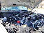 2025 Ford F-250 Regular Cab 4x2 Pickup for sale #C49135 - photo 18
